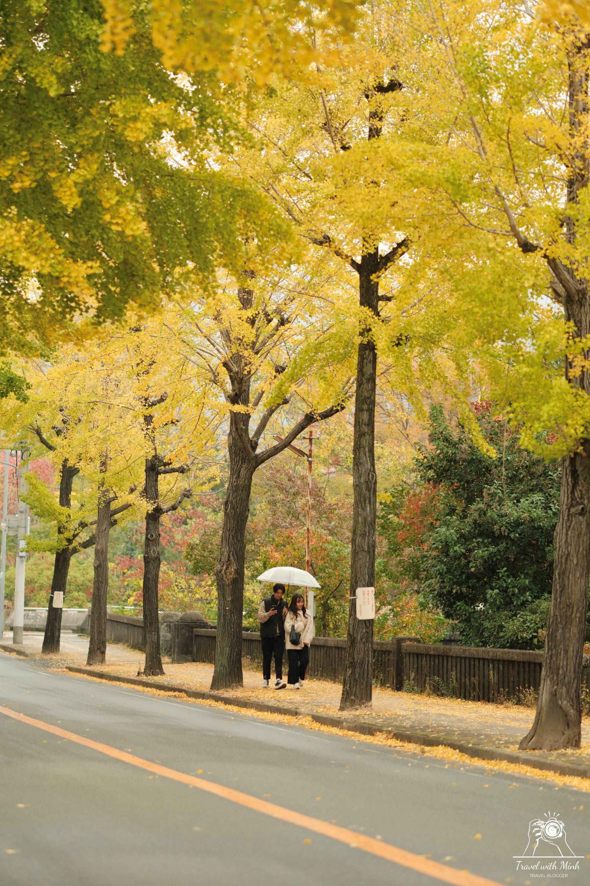 🏛️ 천리교 교회본부 (신전) (텐리쿄 쿄카이혼부 (신덴)) 이미지 8